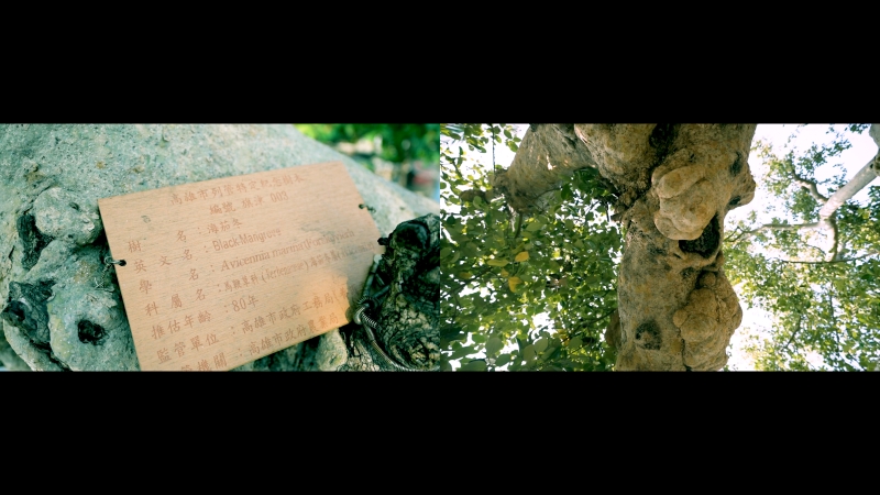 紅樹林、博物館館藏、刺繡：變遷流散的藝術｜王郁媜｜國藝會補助成果檔案庫